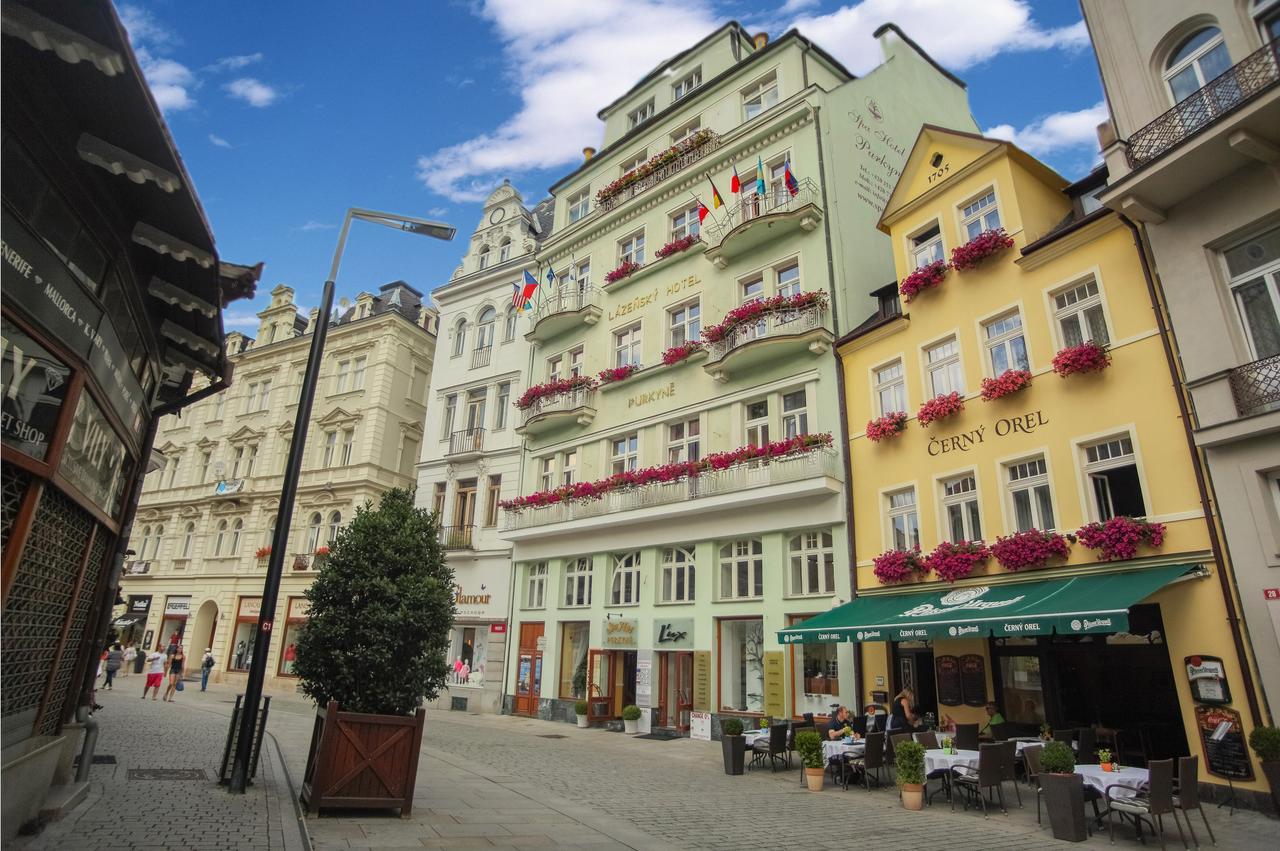 Spa Hotel Purkyne Karlovy Vary Exterior photo
